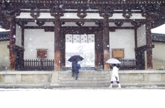 雪の法隆寺1