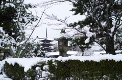 雪の法隆寺3