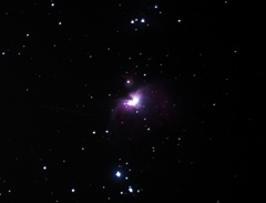 オリオン座大星雲（M42）