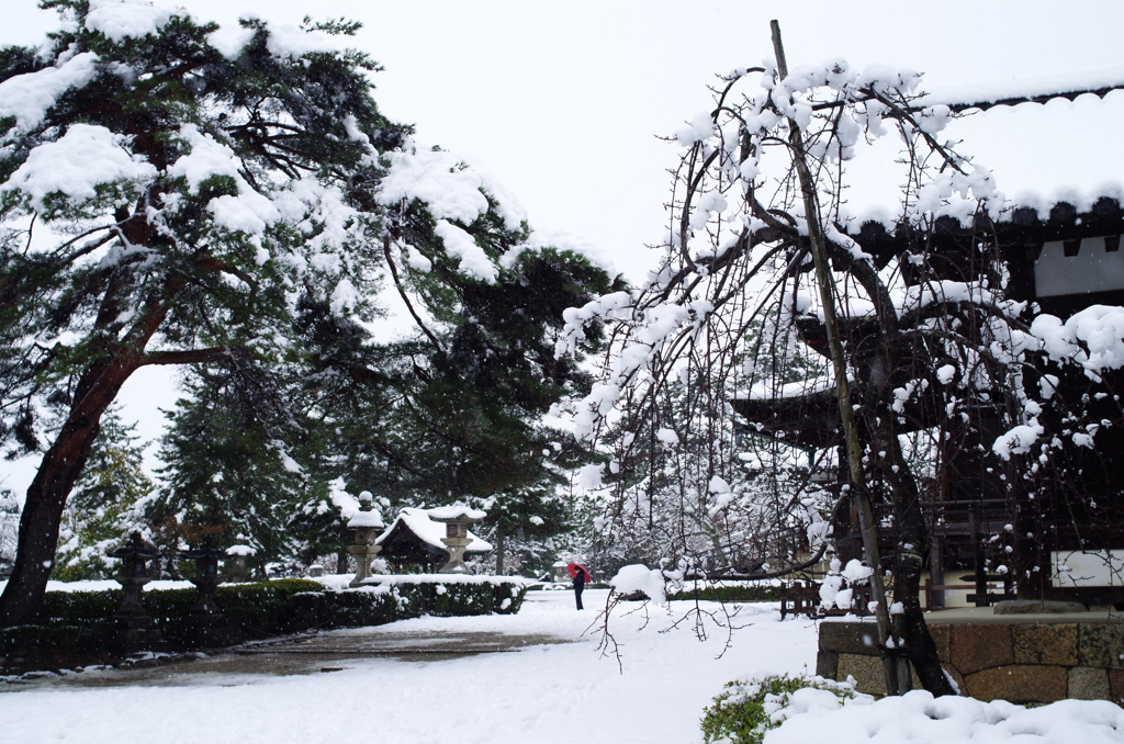 雪の法隆寺5