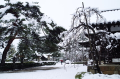 雪の法隆寺5