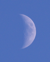 昼の月2
