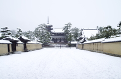 雪の法隆寺2