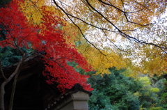 松尾寺と紅葉2