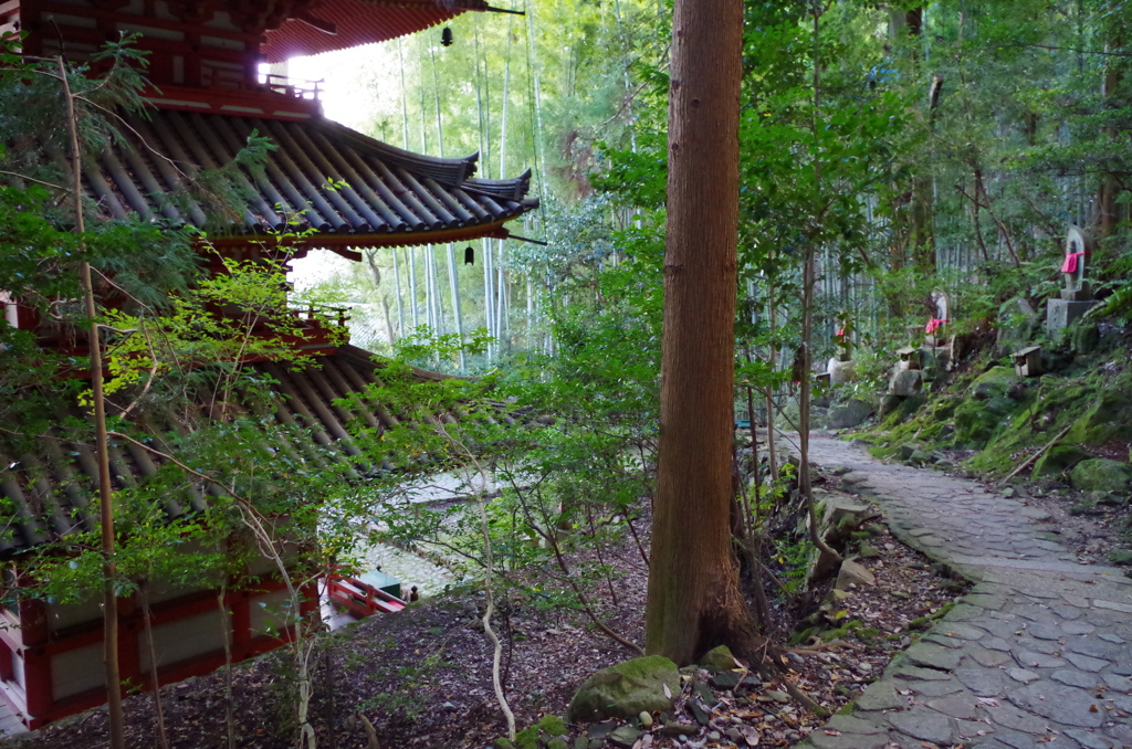 松尾寺4