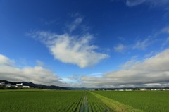 高い空