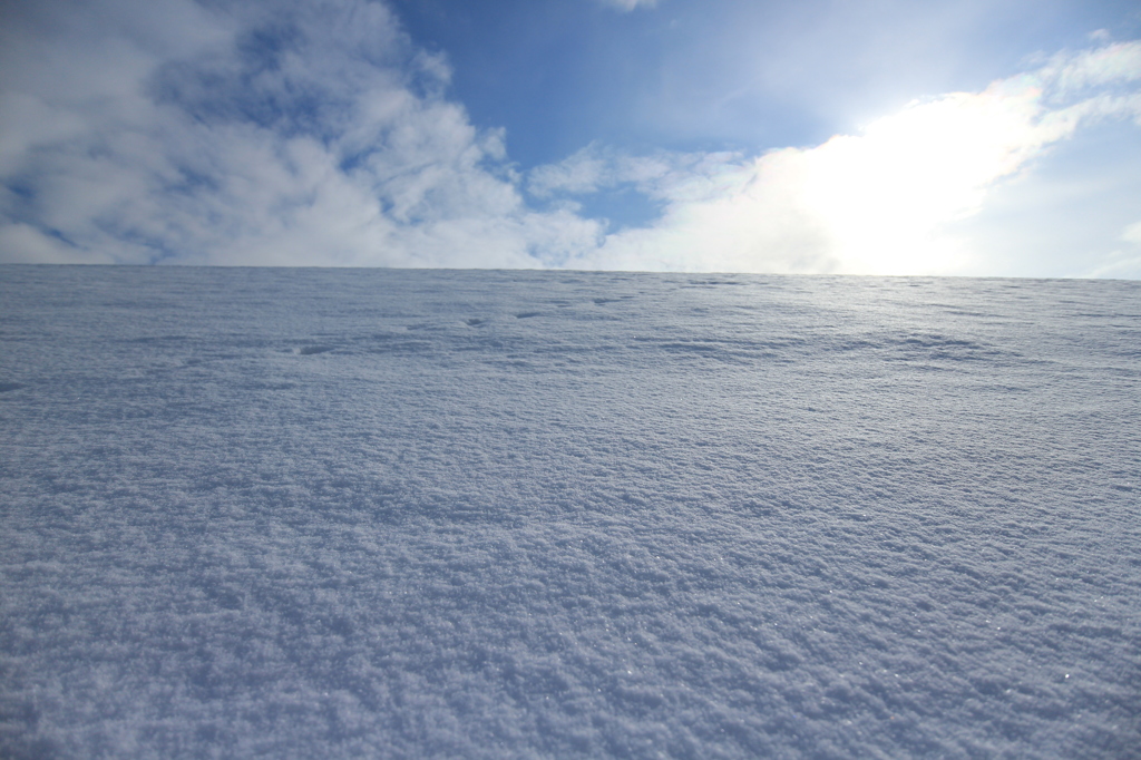 雪原