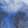 空