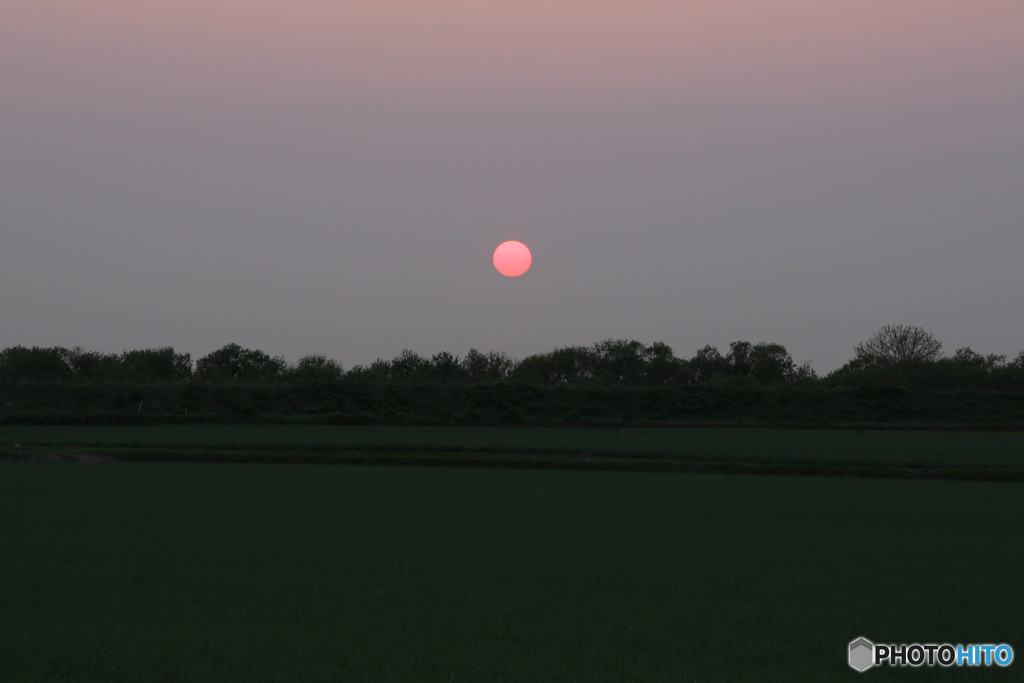 夕日