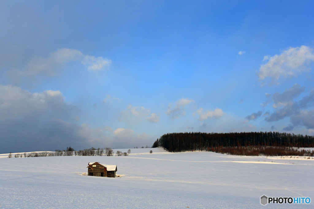 大雪原の小さな家