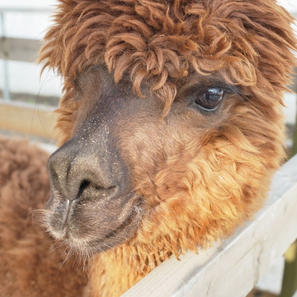 動物園的なとこ2