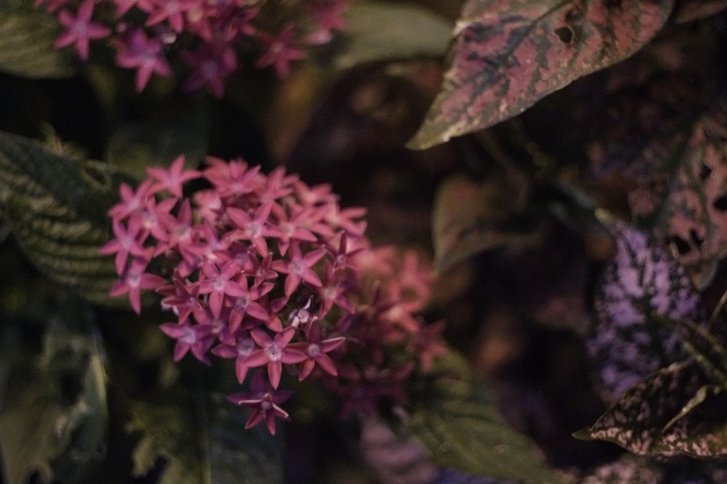 camera test