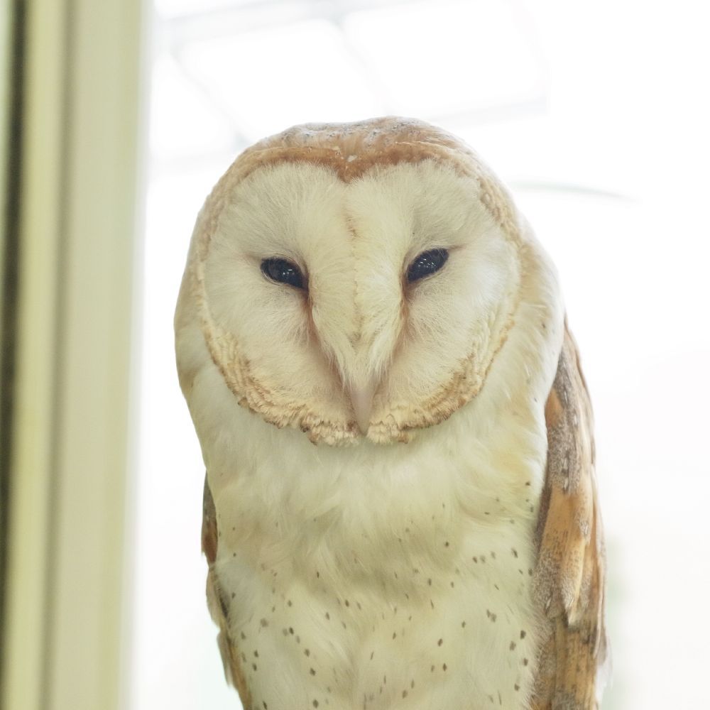 動物園的なとこ6