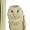 動物園的なとこ6