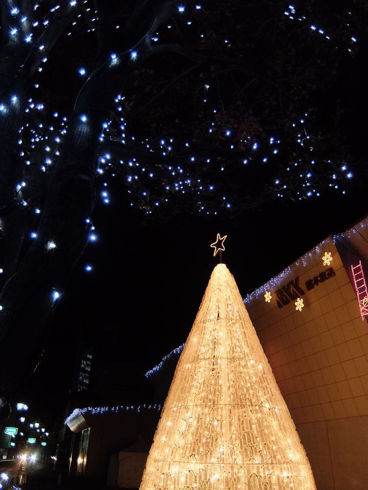 クリスマスツリー的なペットボトル