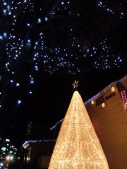 クリスマスツリー的なペットボトル