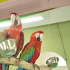 動物園的なとこ9