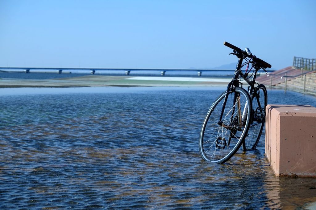 海を見に行く