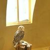 動物園的なとこ4