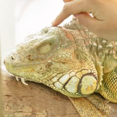 動物園的なとこ7