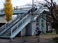 DSCF5105