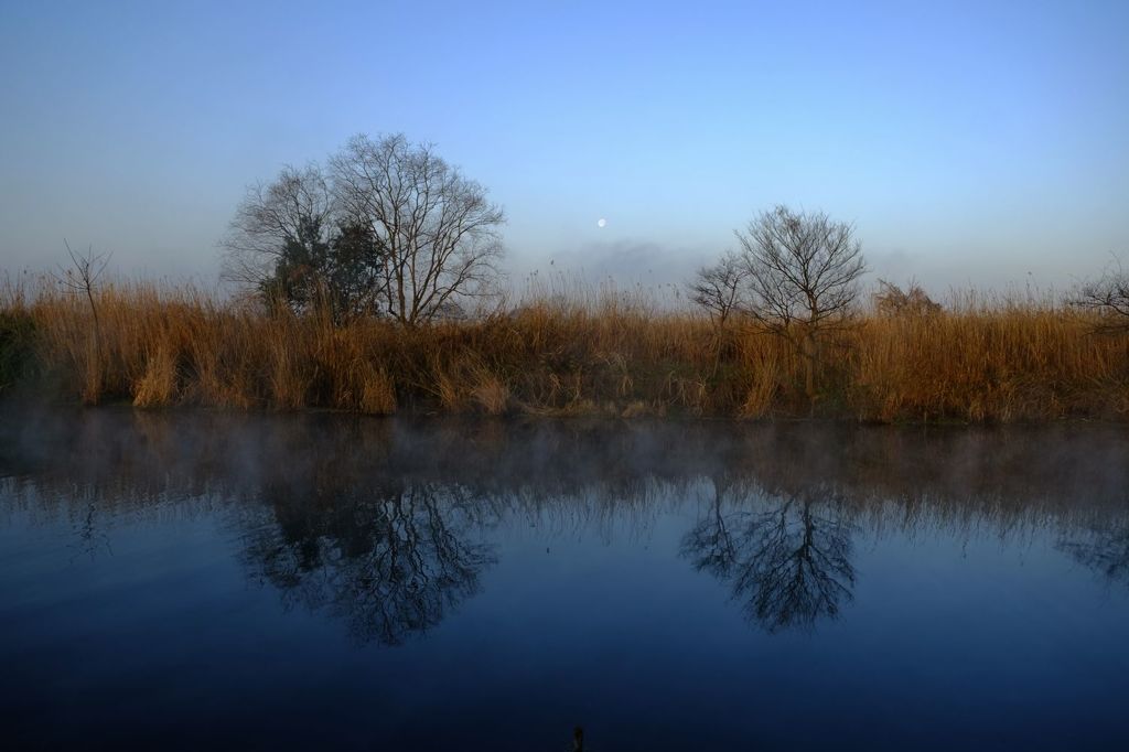 beautifl blue morning