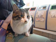 コンビニ前の天使