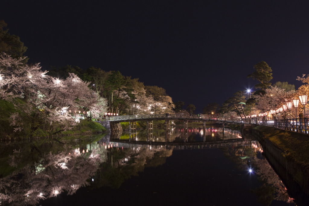 夜桜