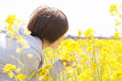 菜の花畑に