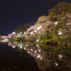 夜桜③