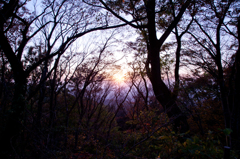 山頂付近から望む夕日