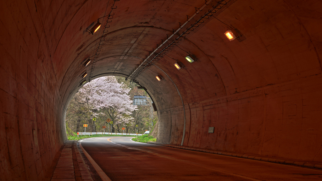 桜