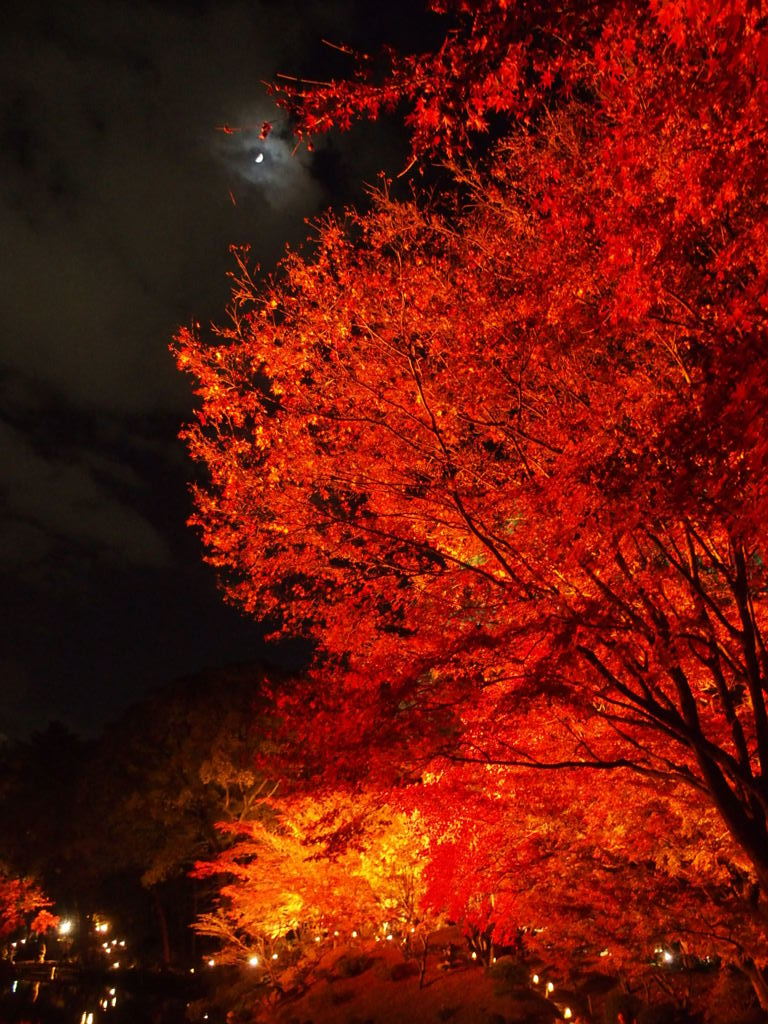 もみじまつり３