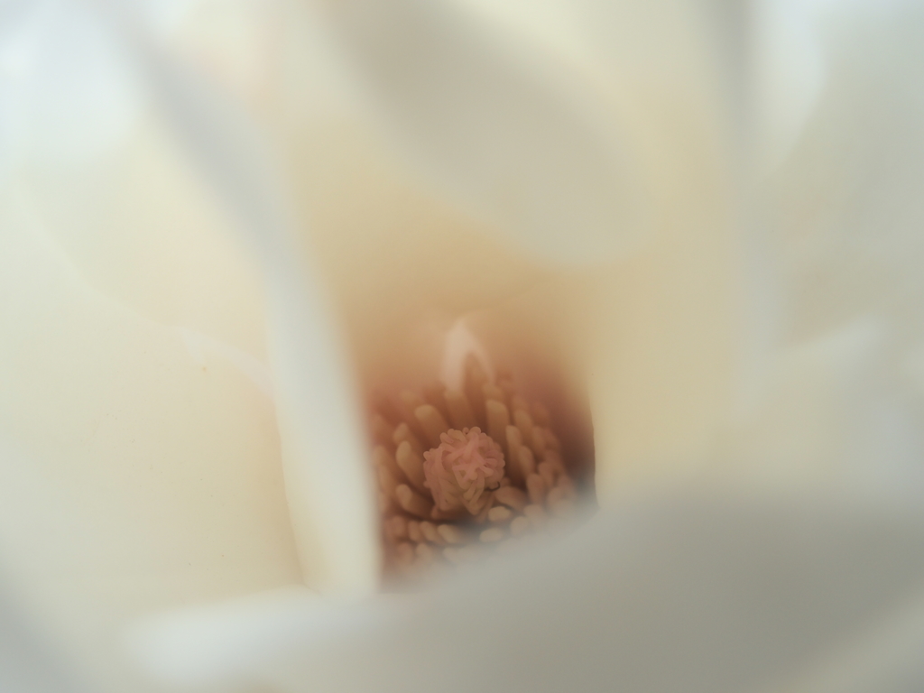 P3137870
