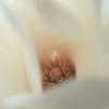 P3137870