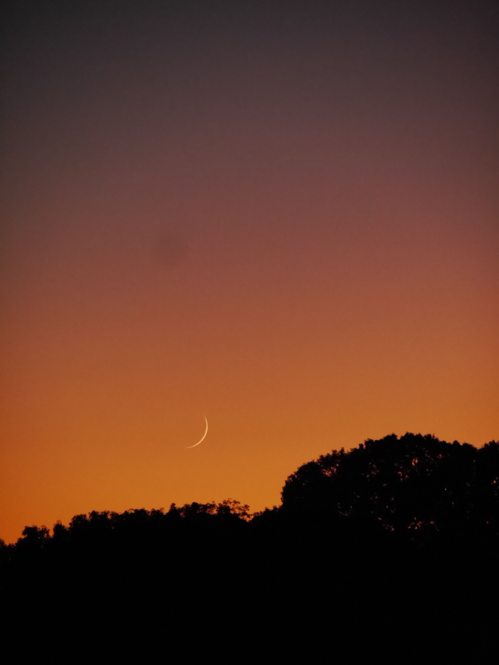 今宵の月(月齢1.8）