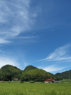 長閑な風景