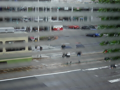 雨の朝