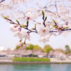 広島平和公園