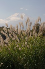 忍野の富士