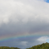 Hybrid Rainbow