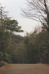 下り坂