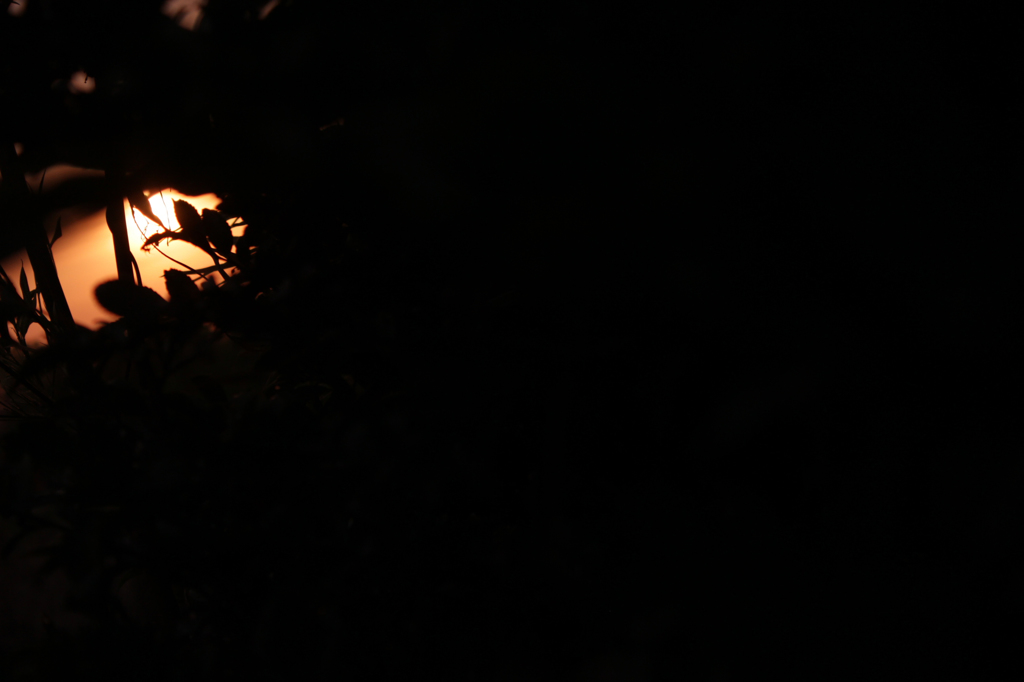 夕日