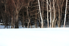 雪