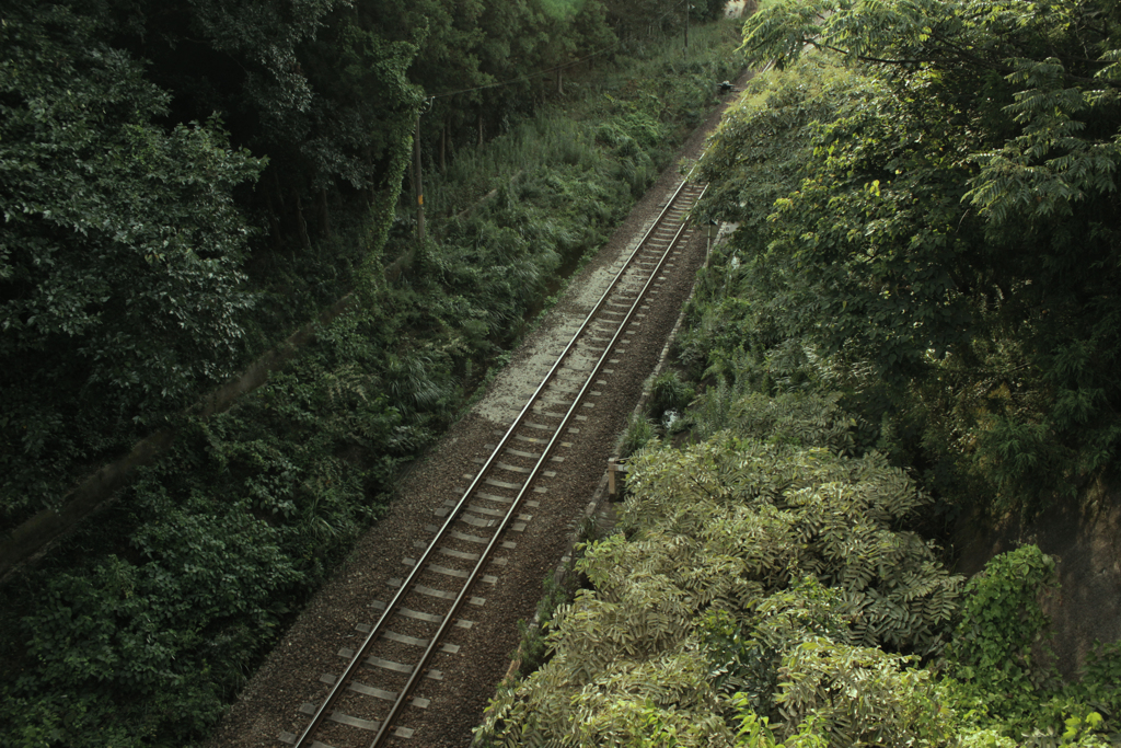 線路
