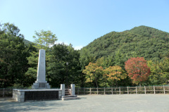 片品村