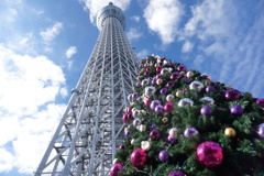 東京スカイツリーとクリスマスツリー