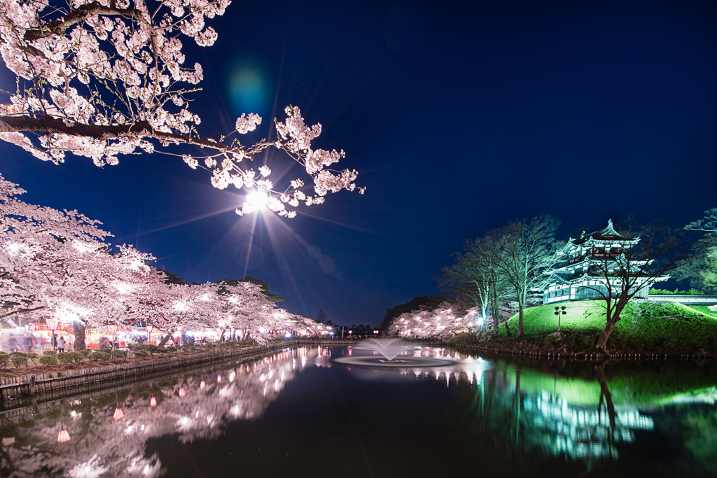 高田公園観桜会