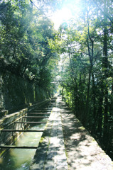 光束 guangshu