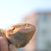 特別な子です